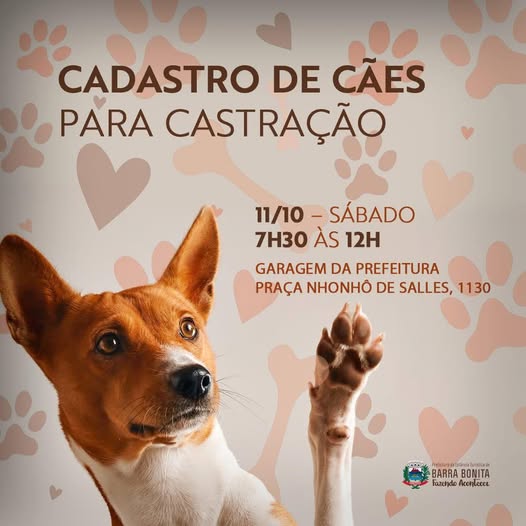 PREFEITURA DE BARRA BONITA REALIZA CASTRAÇÃO GRATUITA DE CÃES  🐾 ✨