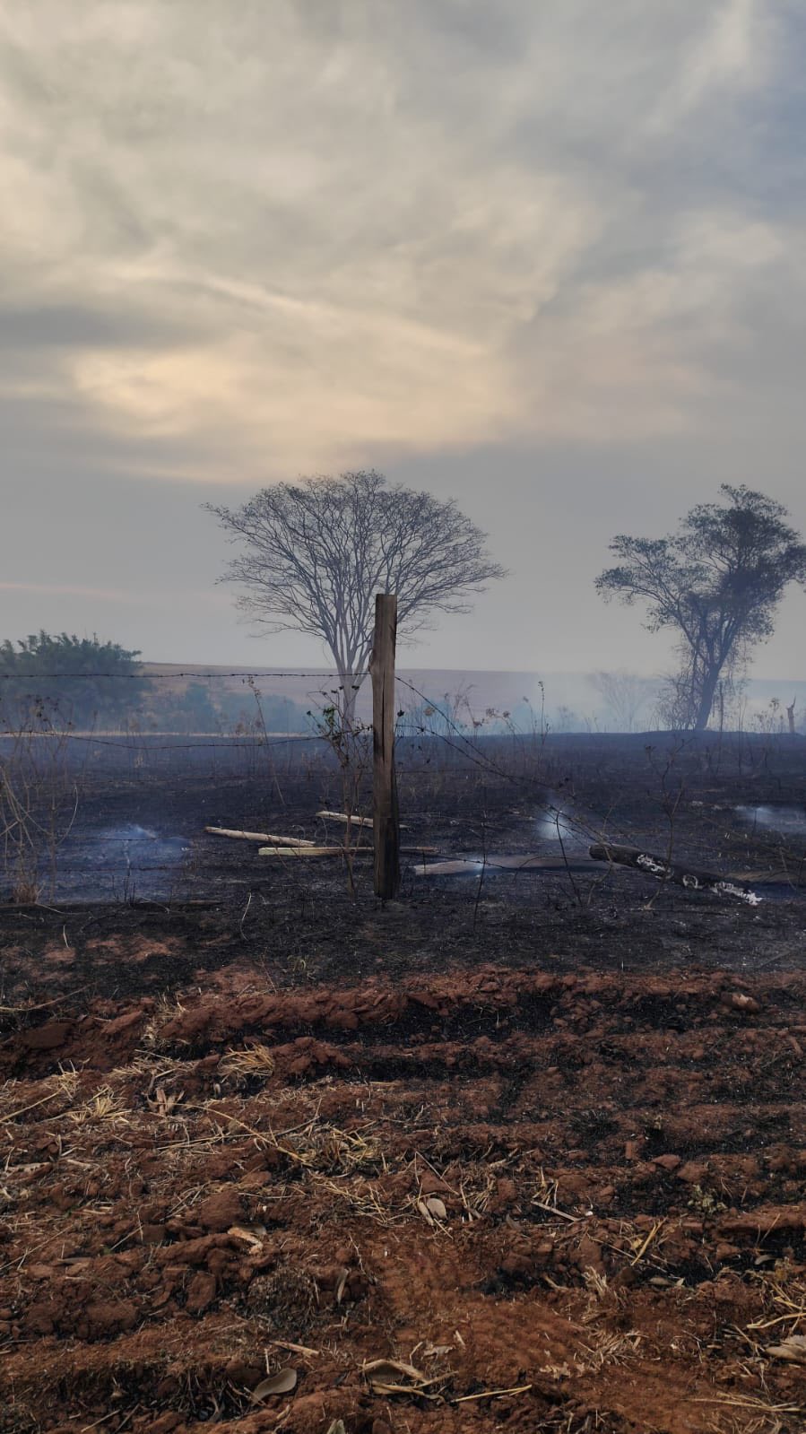 QUEIMADAS: INCÊNDIO ATINGE ZONA RURAL DE BARIRI E PROVOCA DANOS EM BOA VISTA