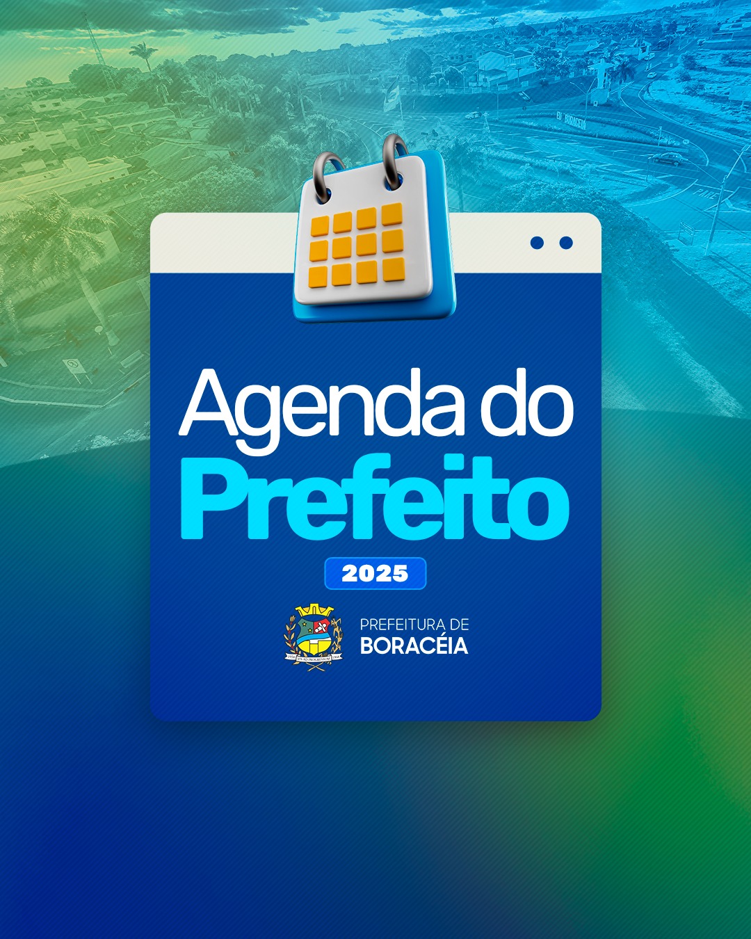 FIQUE POR DENTRO BORACÉIA