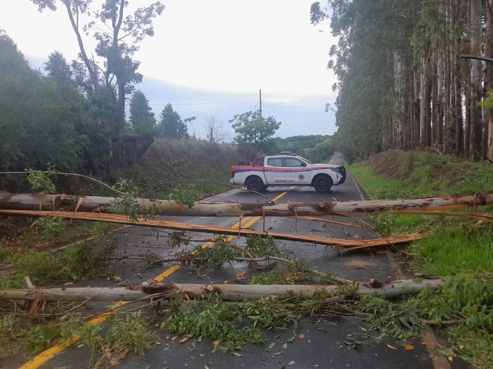 ​DEFESA CIVIL RETIRA EUCALIPTOS QUE BLOQUEARAM ESTRADA ENTRE PARDINHO E BOTUCATU APÓS CHUVA