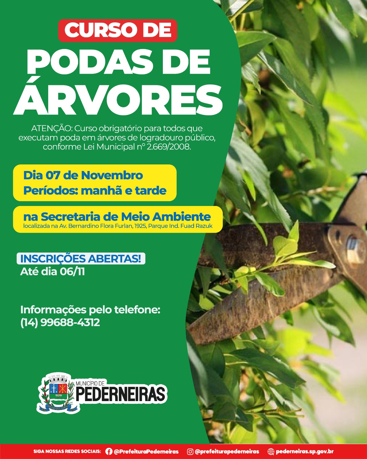 PEDERNEIRAS: SECRETARIA DE MEIO AMBIENTE ABRE INSCRIÇÕES PARA O CURSO DE PODAS DE ÁRVORES