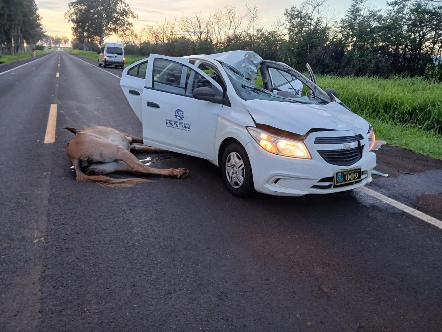 ​ATROPELAMENTO DE CAVALO DEIXA QUATRO VÍTIMAS NA SP-304, EM MINEIROS DO TIETÊ