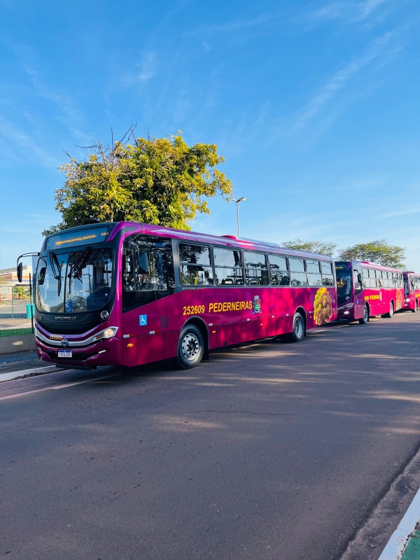 É OFICIAL: PEDERNEIRAS TEM NOVOS ÔNIBUS CIRCULARES COM AR-CONDICIONADO, WI-FI E ACESSIBILIDADE TOTAL.