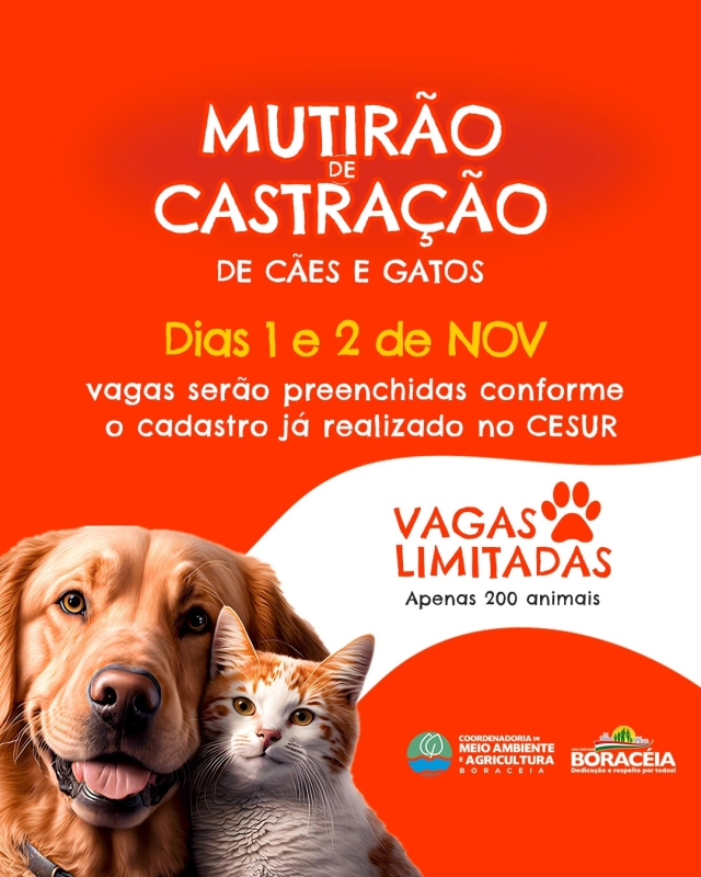 BORACEIA:  A CASTRAÇÃO É UM ATO DE AMOR E RESPONSABILIDADE, QUE CONTRIBUI PARA A SAÚDE DOS ANIMAIS E O BEM-ESTAR DA COMUNIDADE.