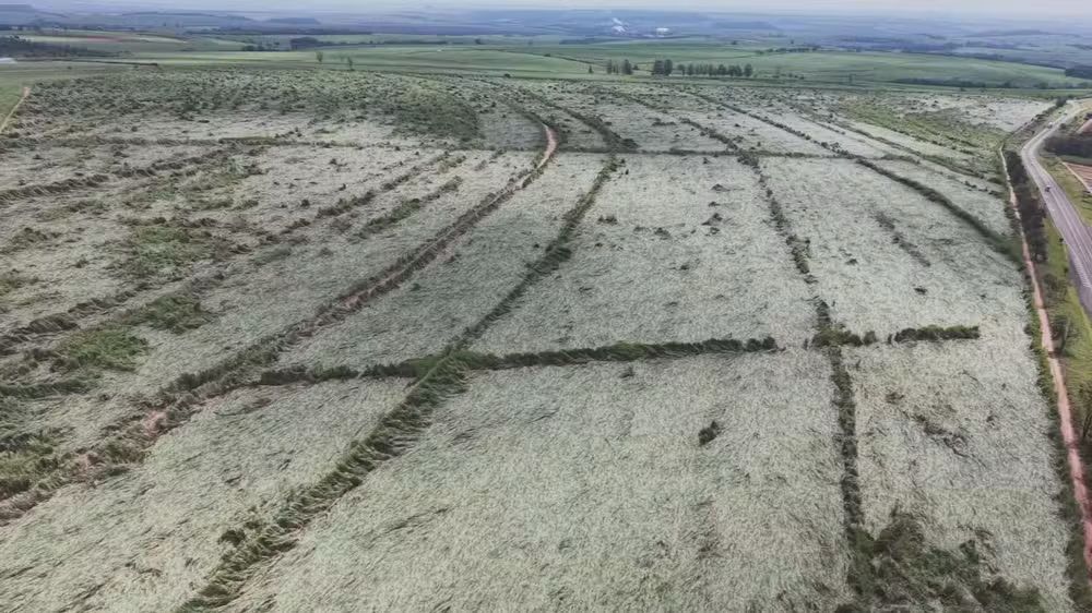 ATENÇÃO JAÚ E REGIÃO: FENÔMENO FORTE DESTRÓI CANAVIAL E ACENDE ALERTA!