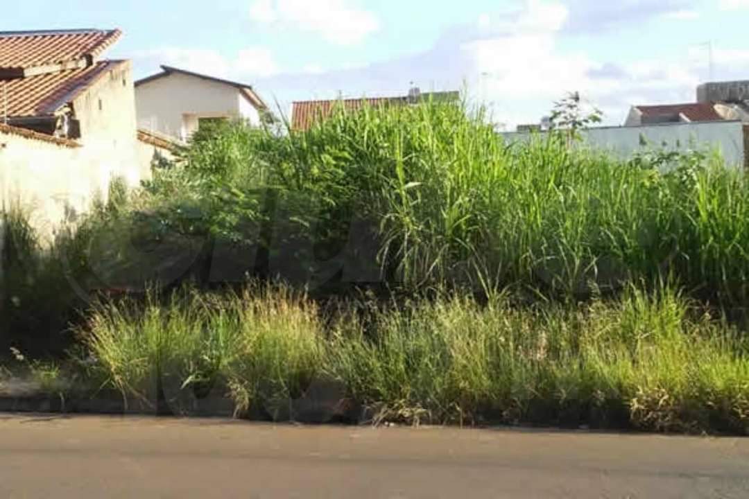 BARIRI: EM PRIMEIRO DIA DE FISCALIZAÇÃO, PREFEITURA AUTUA 41 TERRENOS COM MATO ALTO