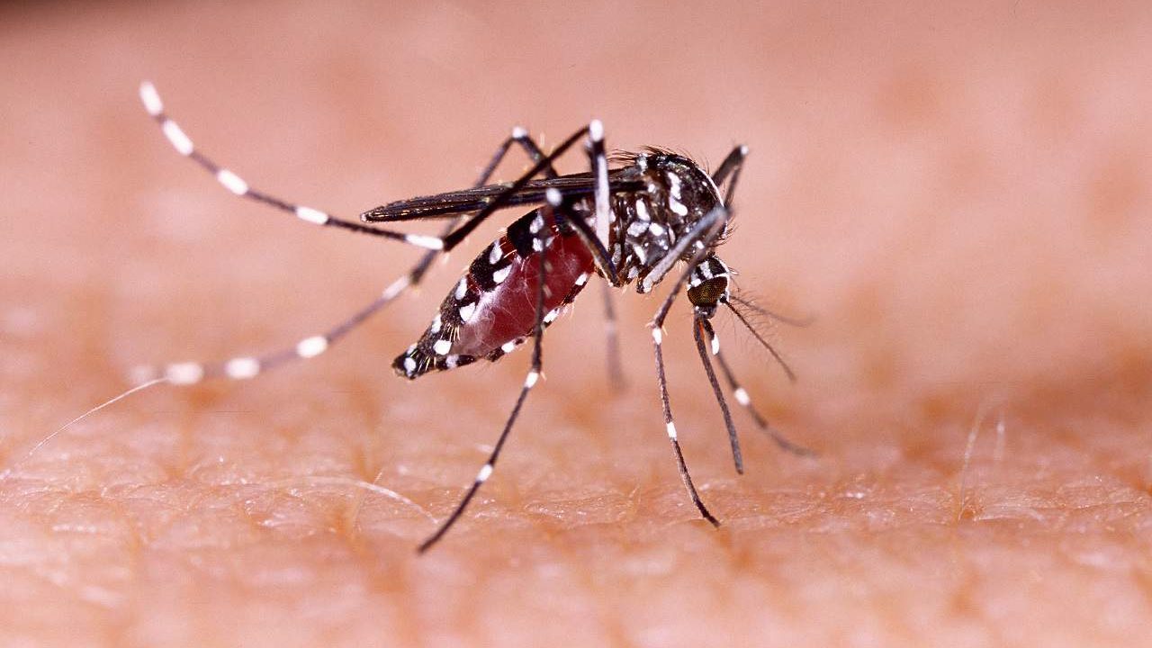BARIRI: CENTRO DE DIAGNOSES FARÁ ATENDIMENTO À PACIENTES COM DENGUE NO FIM DE SEMANA